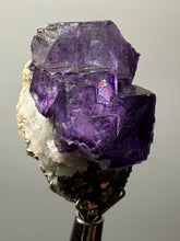 Load image into Gallery viewer, Cubic Fluorite Crystal Thumbnail Specimen | Chashan Mine, Chenzhou, Hunan, China | Collector Mineral Display

