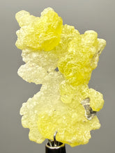 Load image into Gallery viewer, Vibrant Yellow Brucite Thumbnail Mineral Specimen | Collector Crystal from Killa Saifullah District in Balochistan Province, Pakistan
