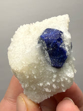 Load image into Gallery viewer, Afghan Lazurite Specimen | Deep Blue Lapis-Grade Crystal on Matrix | Collector Display Mineral
