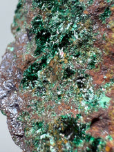 Load image into Gallery viewer, Brochantite Collector Mineral Specimen – Vivid Green Copper Crystals from Morocco
