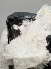Load image into Gallery viewer, Blue Cap on Dark Green Stak Nala Tourmaline on Cleavelandite on Matrix – Haramosh Mountains, Pakistan
