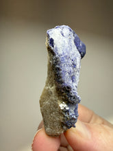 Load image into Gallery viewer, Afghan Lazurite Specimen | Deep Blue Lapis-Grade Crystal on Matrix | Collector Display Mineral
