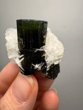 Load image into Gallery viewer, Dark Green Cap Stak Nala Tourmaline on Cleavelandite Matrix – Haramosh Mountains, Pakistan
