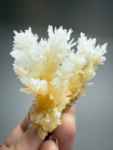 Load image into Gallery viewer, High-Grade Coral Aragonite Crystal Specimen – Wenshan Mine, Yunnan, China
