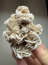 Load image into Gallery viewer, Desert Rose Selenite (Gypsum) — Mineral Display Specimen | Mexico
