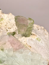 Load image into Gallery viewer, Watermelon Tourmaline on Quartz Matrix – Collector Mineral Specimen from Pakistan
