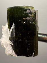 Load image into Gallery viewer, Dark Green Cap Stak Nala Tourmaline with Cleavelandite Flower – Haramosh Mountains, Pakistan | Thumbnail Specimen
