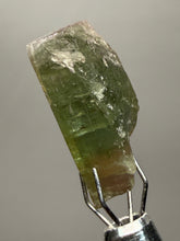 Load image into Gallery viewer, Raw Bi-Color Tourmaline Crystal Specimen | Ocean View Mine, Pala, California, USA
