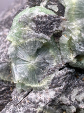 Load image into Gallery viewer, High-Grade Green Wavellite Collectors Specimen - Radiating Botryoidal Crystal Formation - Arkansas, USA
