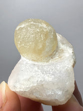 Load image into Gallery viewer, Rare Botryoidal Yellow Fluorite on Quartz Matrix  Collector Mineral Specimen – Maharashtra, India
