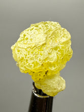 Load image into Gallery viewer, Vibrant Yellow Brucite Thumbnail Mineral Specimen | Collector Crystal from Killa Saifullah District in Balochistan Province, Pakistan
