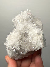 Load image into Gallery viewer, High-Grade Chrysanthemum Quartz (Needle Quartz) Spray Cluster | Jiangxi, China
