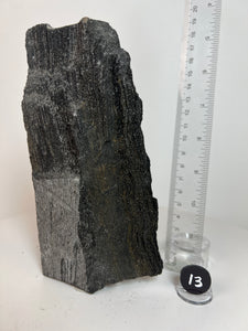 Black Druzy Petrified Wood from Indonesia