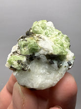 Load image into Gallery viewer, Electric Green Diopside on Quartz – Collector Mineral Specimen (Gilgit-Baltistan) Pakistan

