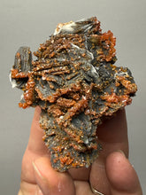 Load image into Gallery viewer, Natural Vanadinite on Matrix | Collector Mineral Specimen | Morocco
