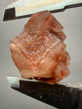 Load image into Gallery viewer, Rare Red Apophyllite Crystal Cluster – High Grade Collector Mineral Specimen | India
