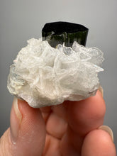 Load image into Gallery viewer, Dark Green Cap Stak Nala Tourmaline on Cleavelandite Matrix – Haramosh Mountains, Pakistan

