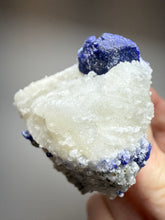 Load image into Gallery viewer, Afghan Lazurite Specimen | Deep Blue Lapis-Grade Crystal on Matrix | Collector Display Mineral
