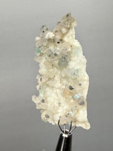 Load image into Gallery viewer, Blue-Green Chrysocolla in Botryoidal Chalcedony Cabinet Specimen | Indonesia
