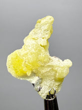 Load image into Gallery viewer, Vibrant Yellow Brucite Thumbnail Mineral Specimen | Collector Crystal from Killa Saifullah District in Balochistan Province, Pakistan

