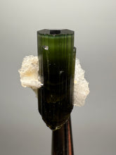 Load image into Gallery viewer, Dark Green Cap Stak Nala Tourmaline with Cleavelandite Flower – Haramosh Mountains, Pakistan | Thumbnail Specimen
