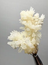 Load image into Gallery viewer, High-Grade Flower Calcite Crystal Specimen | Wenshan Mine, Yunnan, China | Collector Mineral Display
