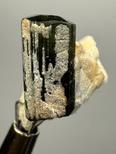 Load image into Gallery viewer, Dark Green Stak Nala Tourmaline and Cleavelandite – Haramosh Mountains, Pakistan | Thumbnail Specimen
