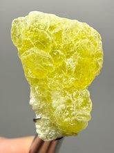 Load image into Gallery viewer, Vibrant Yellow Brucite Thumbnail Mineral Specimen | Collector Crystal from Killa Saifullah District in Balochistan Province, Pakistan
