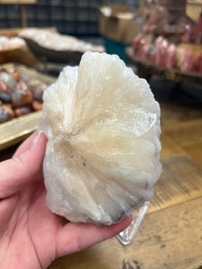 Lavender Stilbite Flower + Phantom Purple Apophyllite• VERY RARE • India