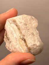 Load image into Gallery viewer, Rare Botryoidal Yellow Fluorite on Quartz Matrix  Collector Mineral Specimen – Maharashtra, India
