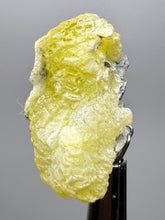 Load image into Gallery viewer, Vibrant Yellow Brucite Thumbnail Mineral Specimen | Collector Crystal from Killa Saifullah District in Balochistan Province, Pakistan
