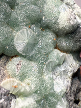 Load image into Gallery viewer, High-Grade Green Wavellite Collectors Specimen - Radiating Botryoidal Crystal Formation - Arkansas, USA
