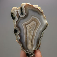 Load image into Gallery viewer, Moroccan Cream Banded Agate Sahara | High Atlas | Polished
