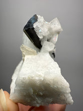 Load image into Gallery viewer, Dark Green Cap Stak Nala Tourmaline on Cleavelandite Matrix – Haramosh Mountains, Pakistan
