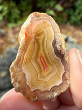 Load image into Gallery viewer, High-Grade Parallax Banded Laguna Agate – Bright Red &amp; Yellow Crystal from Mexico
