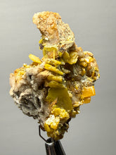 Load image into Gallery viewer, High-Grade Orange Wulfenite Collector Display Specimen | La Morita Mine, Chihuahua, Mexico
