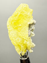 Load image into Gallery viewer, Vibrant Yellow Brucite Thumbnail Mineral Specimen | Collector Crystal from Killa Saifullah District in Balochistan Province, Pakistan
