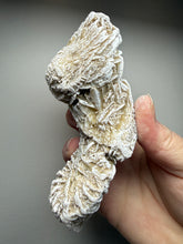Load image into Gallery viewer, Desert Rose Selenite (Gypsum) — Mineral Display Specimen | Mexico
