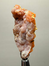 Load image into Gallery viewer, “Goblin Chalcedony” Pink &amp; Orange Druzy Botryoidal Stalactites— Tichka Massif, High Atlas, Morocco
