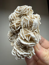 Load image into Gallery viewer, Desert Rose Selenite (Gypsum) — Mineral Display Specimen | Mexico
