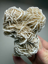 Load image into Gallery viewer, Desert Rose Selenite (Gypsum) — Mineral Display Specimen | Mexico
