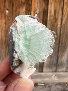Light Mint Green Radial (Disco Ball) Apophyllite + Stilbite • Maharashtra, India