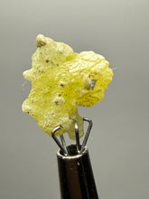 Load image into Gallery viewer, Vibrant Yellow Brucite Thumbnail Mineral Specimen | Collector Crystal from Killa Saifullah District in Balochistan Province, Pakistan
