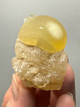 Load image into Gallery viewer, Rare Botryoidal Yellow Fluorite on Quartz Matrix  Collector Mineral Specimen – Maharashtra, India
