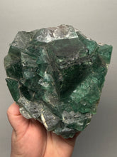 Load image into Gallery viewer, Green Cubic Fluorite — Yiwu, Jinhua, Zhejiang, China (Collector Specimen)
