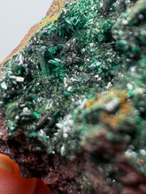 Load image into Gallery viewer, Brochantite Collector Mineral Specimen – Vivid Green Copper Crystals from Morocco
