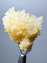 Load image into Gallery viewer, High-Grade Flower Calcite Crystal Specimen | Wenshan Mine, Yunnan, China | Collector Mineral Display

