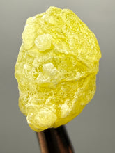 Load image into Gallery viewer, Vibrant Yellow Brucite Thumbnail Mineral Specimen | Collector Crystal from Killa Saifullah District in Balochistan Province, Pakistan
