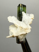 Load image into Gallery viewer, Dark Green Stak Nala Tourmaline and Cleavelandite – Haramosh Mountains, Pakistan | Thumbnail Specimen
