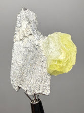 Load image into Gallery viewer, Vibrant Yellow Brucite Thumbnail Mineral Specimen | Collector Crystal from Killa Saifullah District in Balochistan Province, Pakistan
